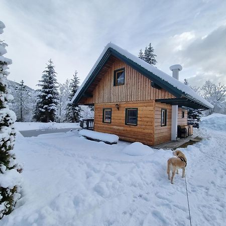 Chalet Am Teich Familie Gaenser Villa Feistritz am Kammersberg Luaran gambar